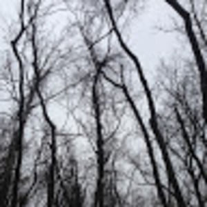 Meet your Posher, Arlen